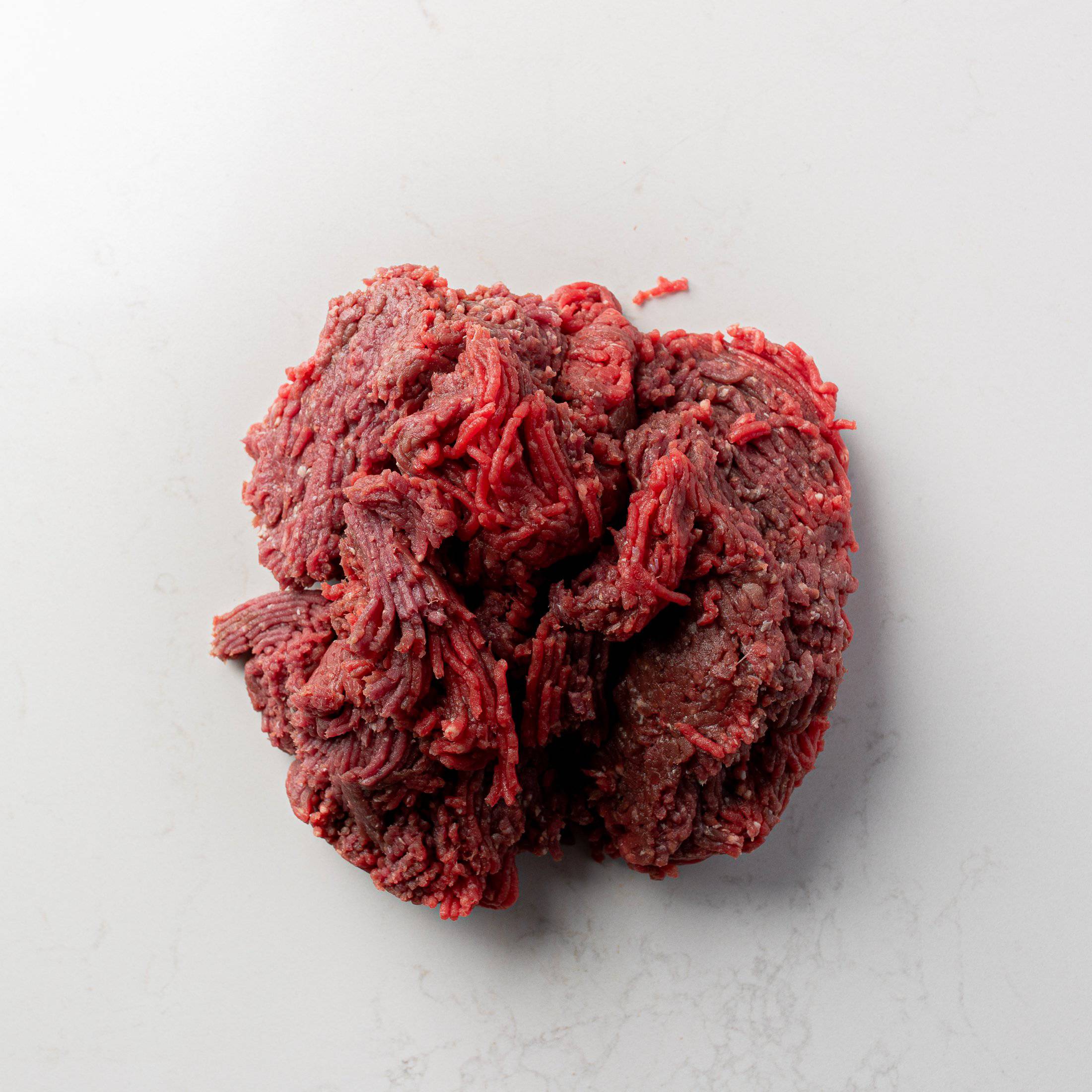 Ground Bison