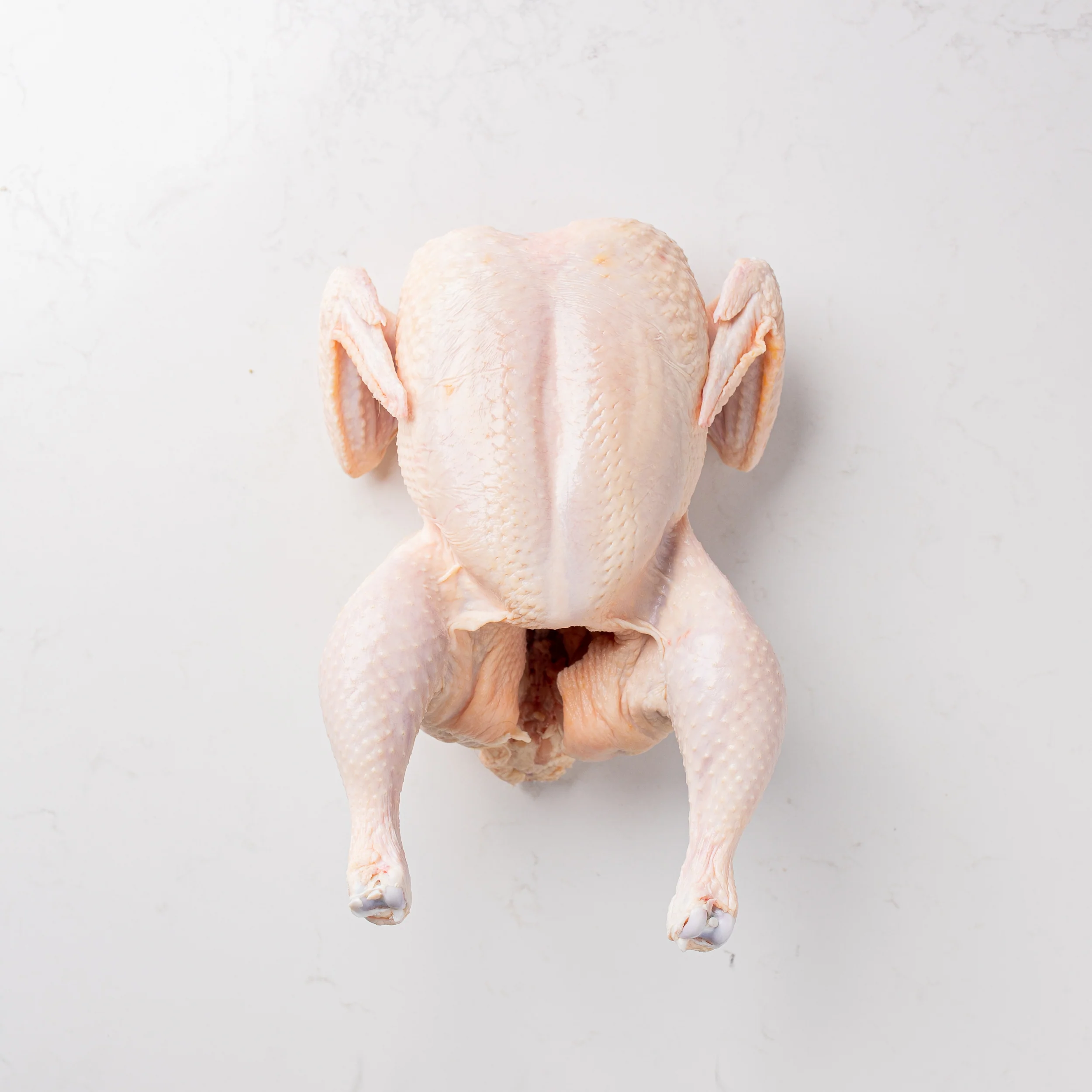 Halal Chicken Whole