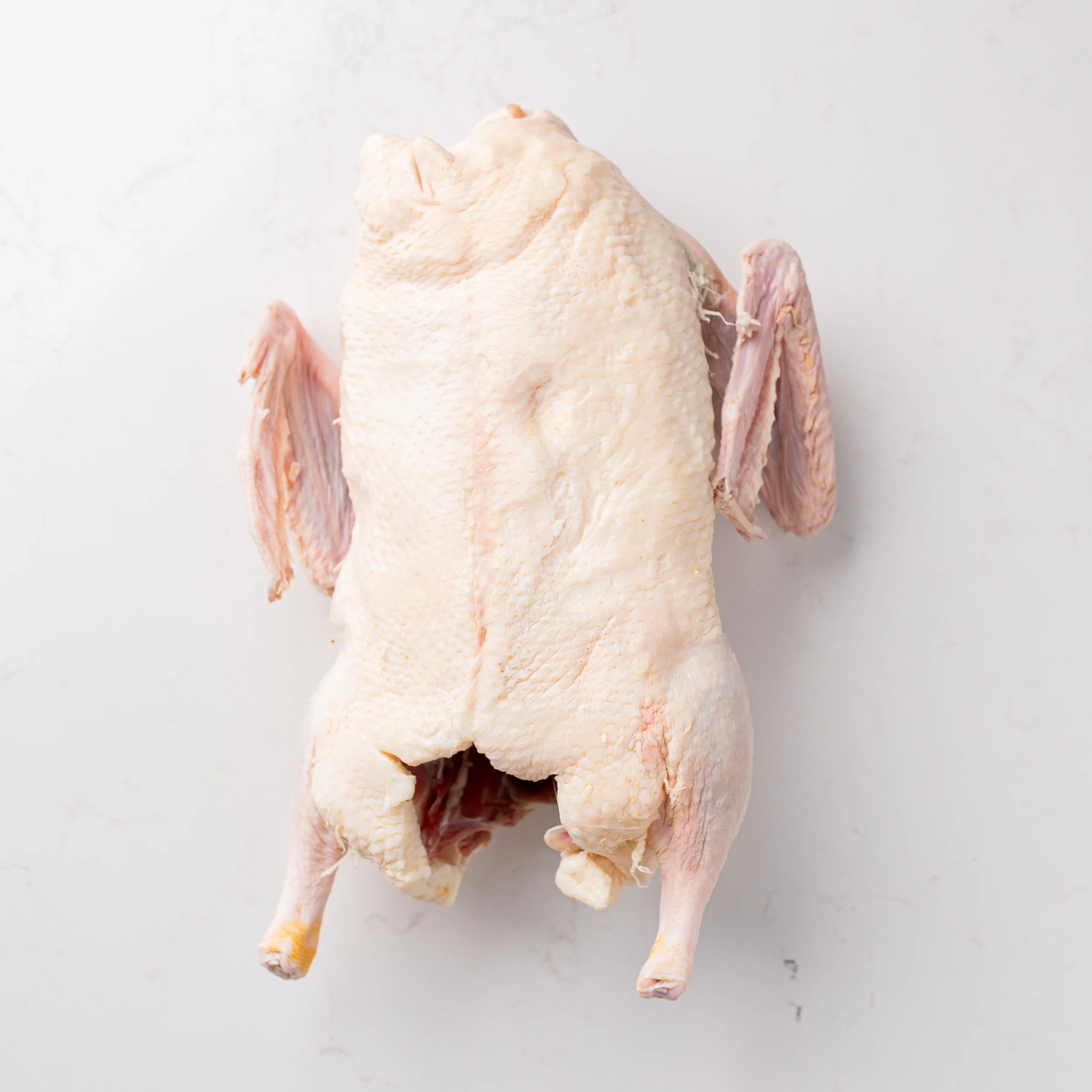 Moulard Whole Duck - Image 3